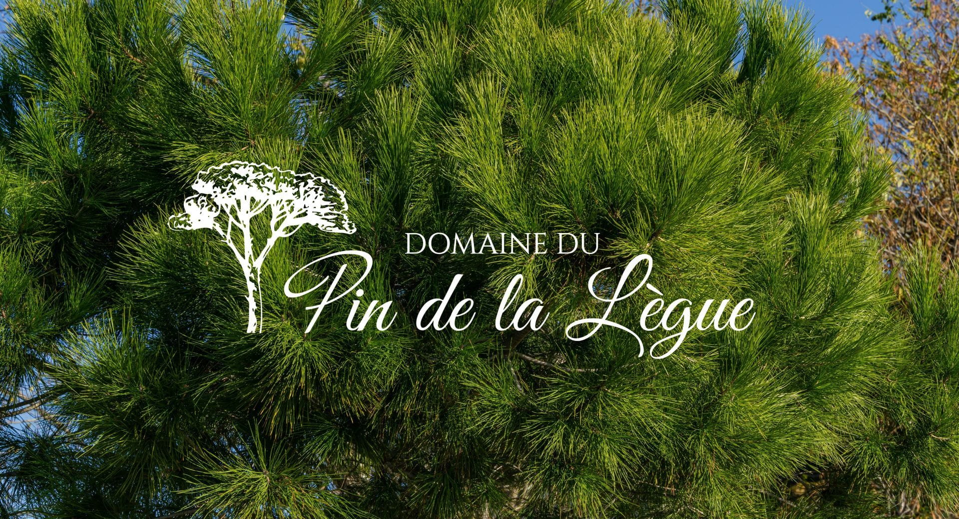 Domaine du pin de la Lègue