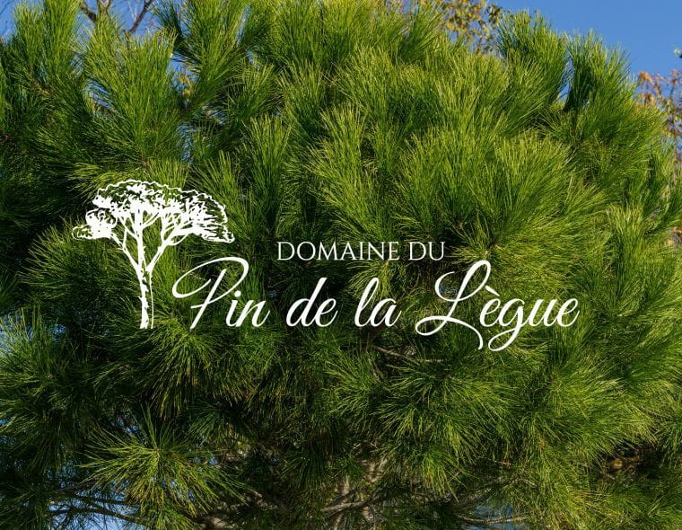 Domaine du pin de la Lègue